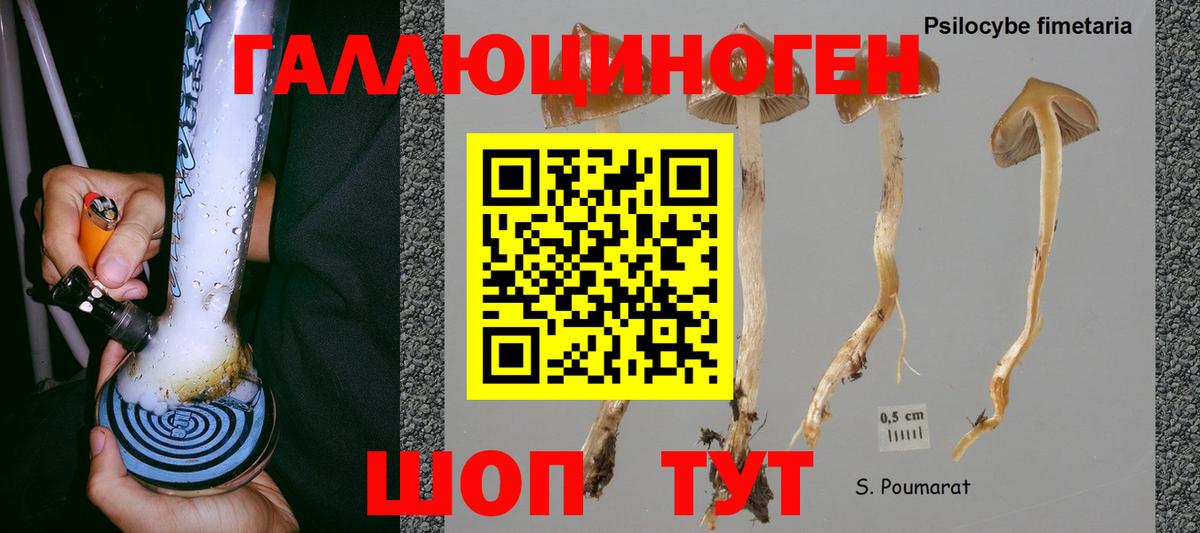 Галлюциногенные грибы мицелий Новотроицк